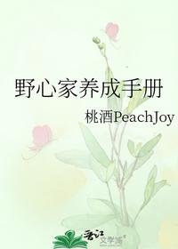 野心家养成手册